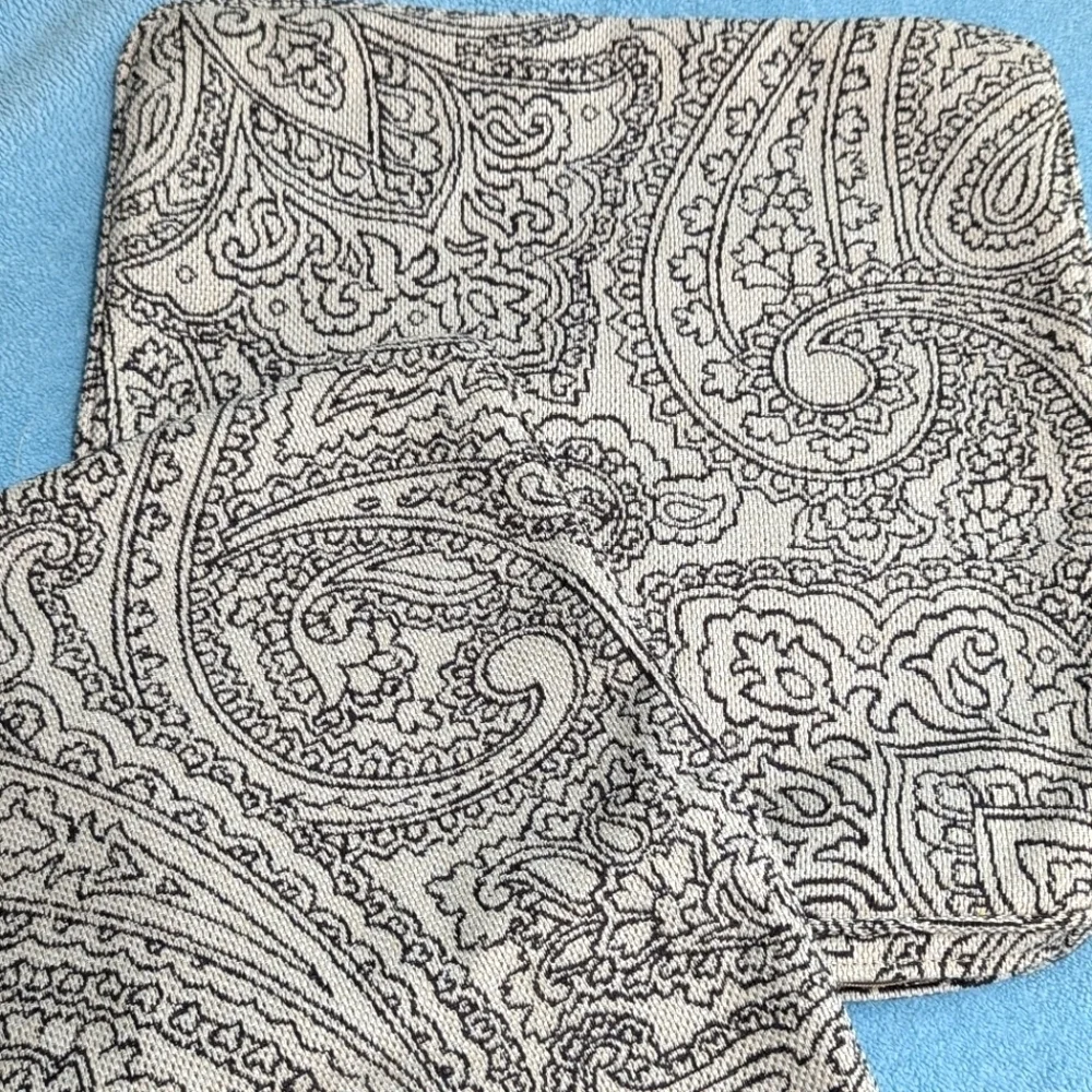 Brand New - (2) La-Z-Boy 18x18 Accent Pillow Covers Paisley Motif - Picture 2 of 14